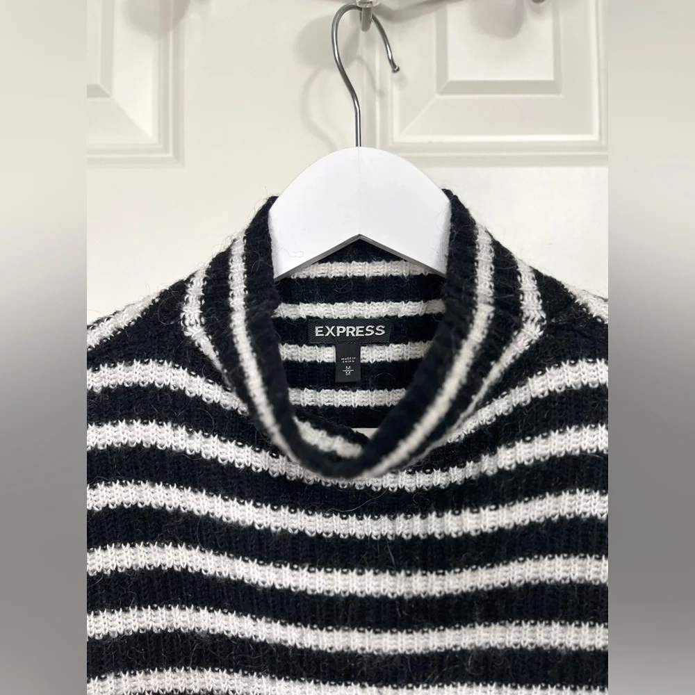 Express Striped Turtleneck Sweater